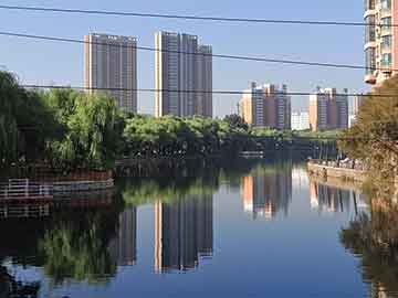 2025年新澳今晚资料和澳门管家婆100%精准,精选解析、专家解析解释与落实